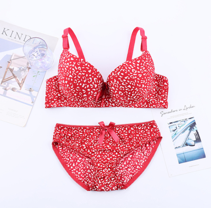 Women's fancy & Soft Matriyal Sexy Bra & Panty Set (Pack of 6)