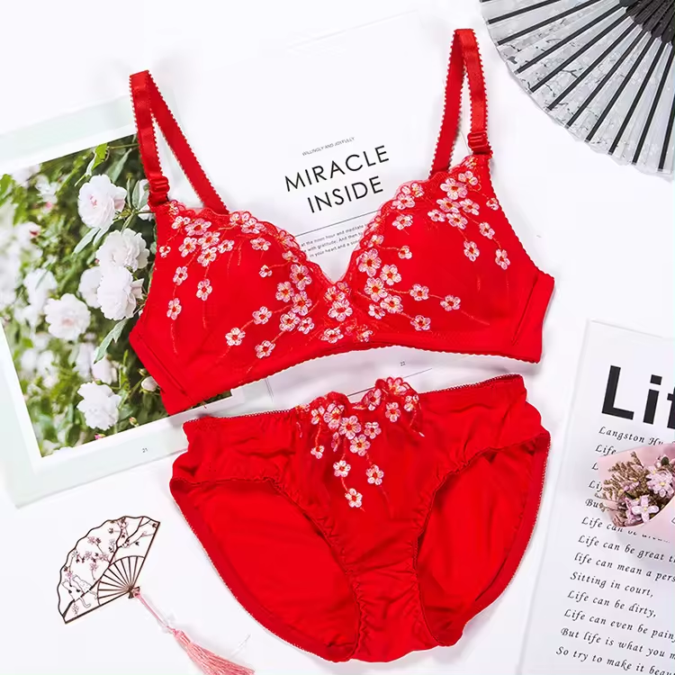 Women's fancy & Soft Matriyal Sexy Bra & Panty Set (Pack of 4)