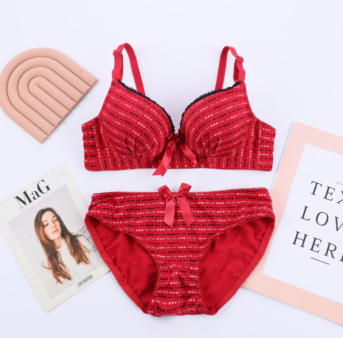 Women's fancy & Soft Matriyal Sexy Bra & Panty Set (Pack of 6)
